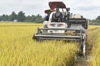 Phát triển nông nghiệp theo hướng bền vững