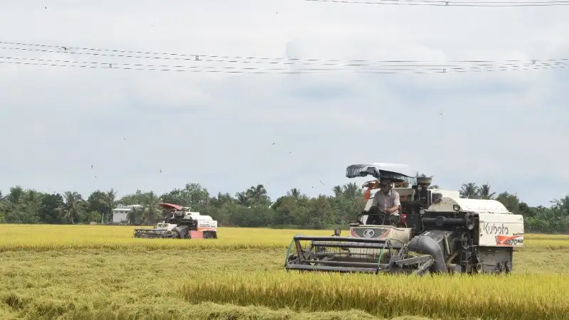 Phát triển nông nghiệp theo hướng bền vững