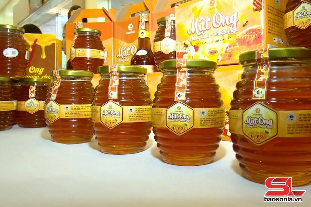 Phát triển sản phẩm OCOP gắn với lợi thế địa phương