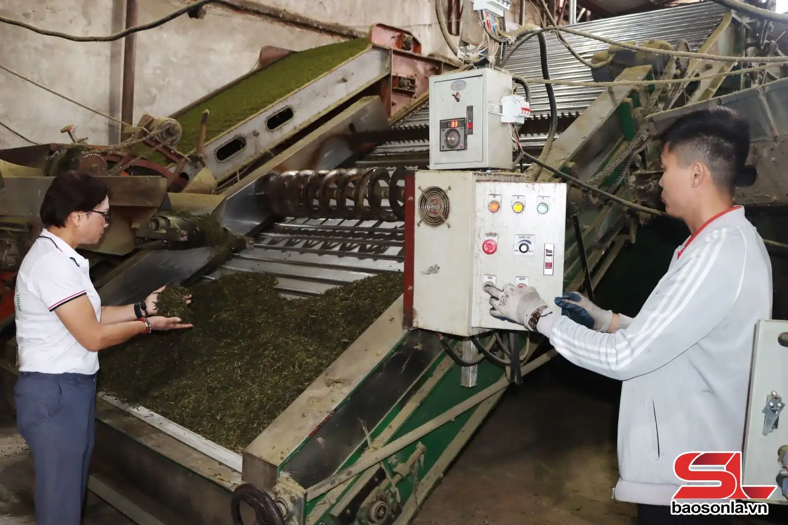 Phát triển sản phẩm OCOP gắn với lợi thế địa phương