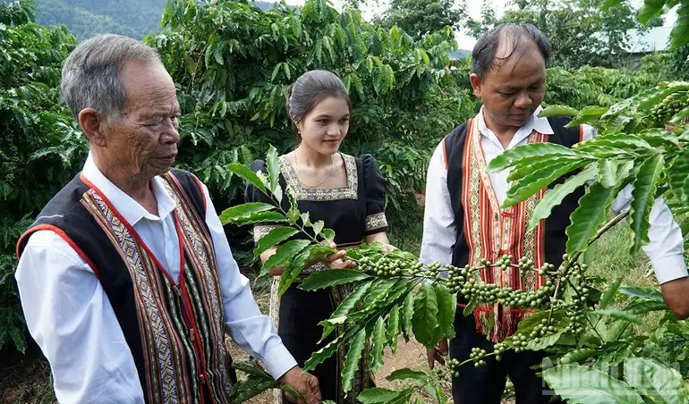 Quảng Ngãi phát huy vai trò người có uy tín trong đồng bào dân tộc thiểu số