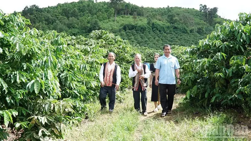 Quảng Ngãi phát huy vai trò người có uy tín trong đồng bào dân tộc thiểu số