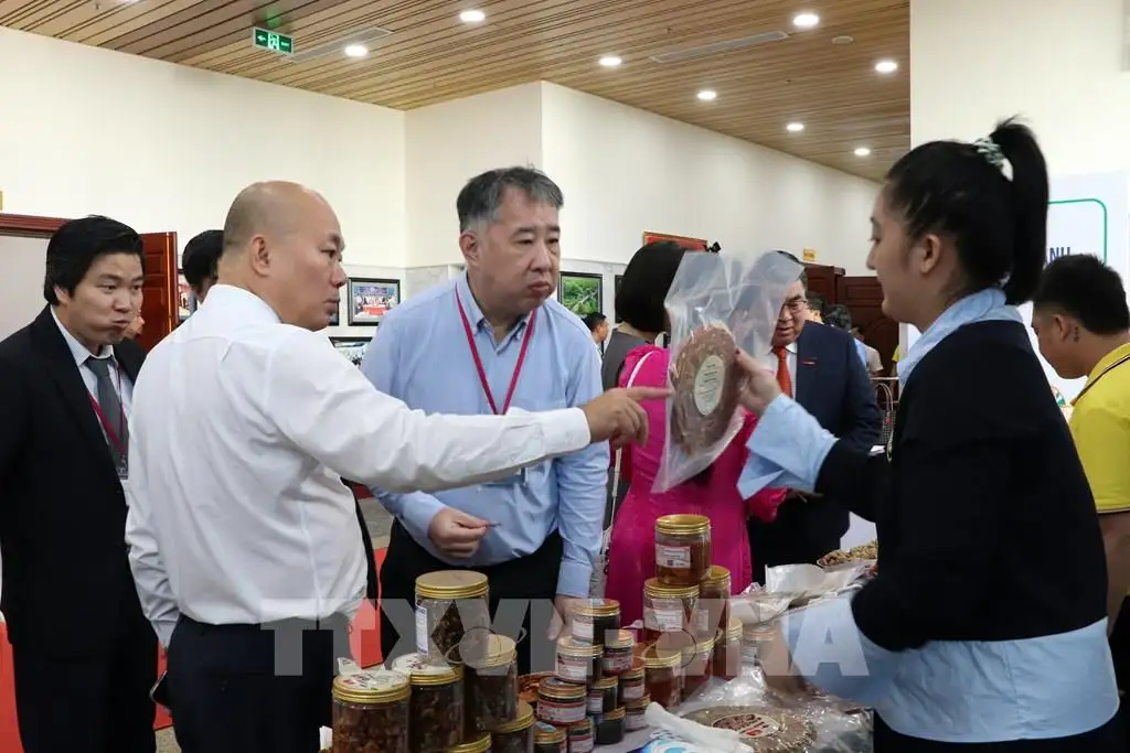 Sản phẩm OCOP từ đặc sản địa phương đến siêu thị quốc tế