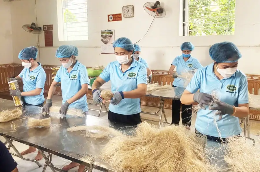 Số hóa mở đường cho sản phẩm OCOP ra thế giới