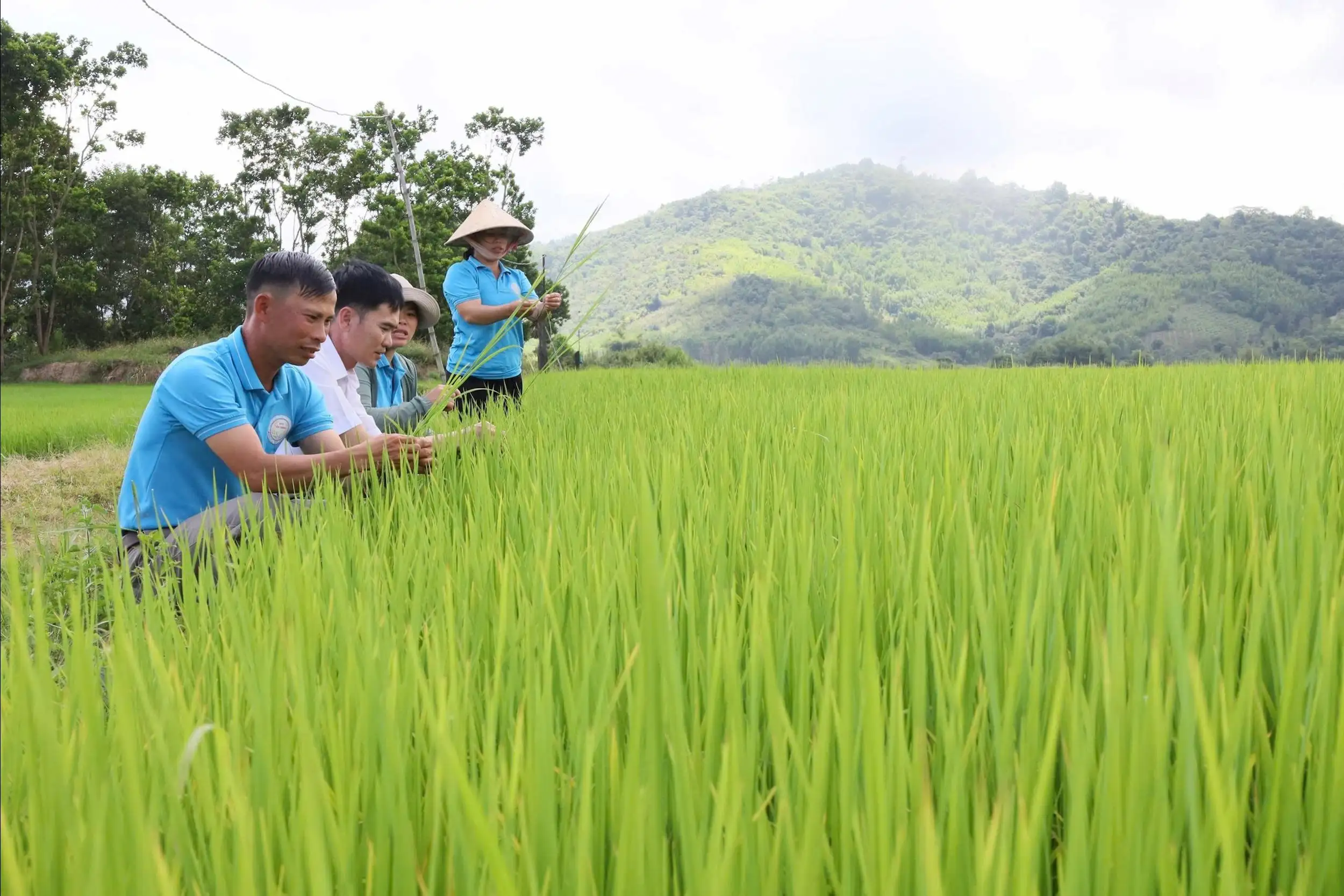Tái cơ cấu để Đắk Lắk trở thành trung tâm nông nghiệp xanh