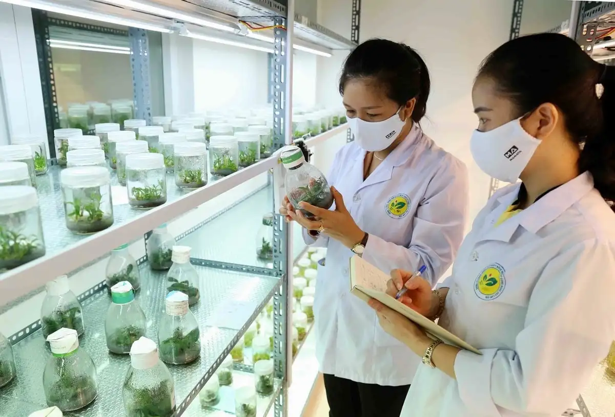 Tái hiện hành trình 80 năm thoát đói thành nước xuất khẩu nông sản hàng đầu