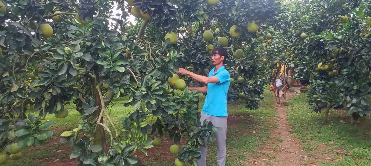 Tăng thẩm quyền cho cấp xã trong triển khai nông thôn mới và giảm nghèo