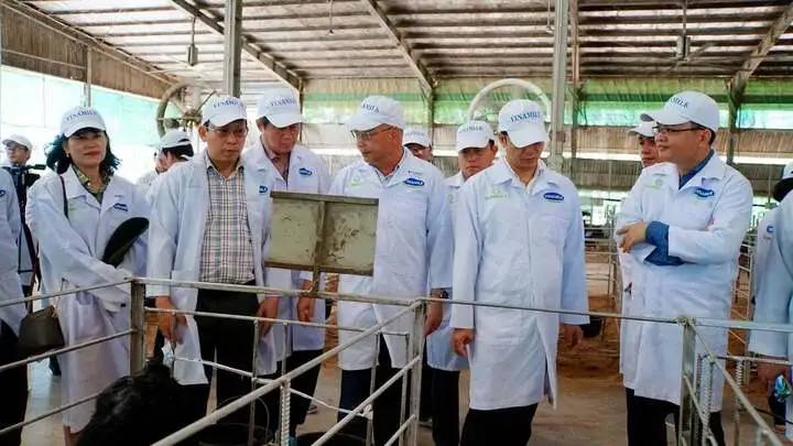 Tây Ninh bứt phá công nghiệp hóa chăn nuôi: Hình mẫu nông nghiệp công nghệ cao