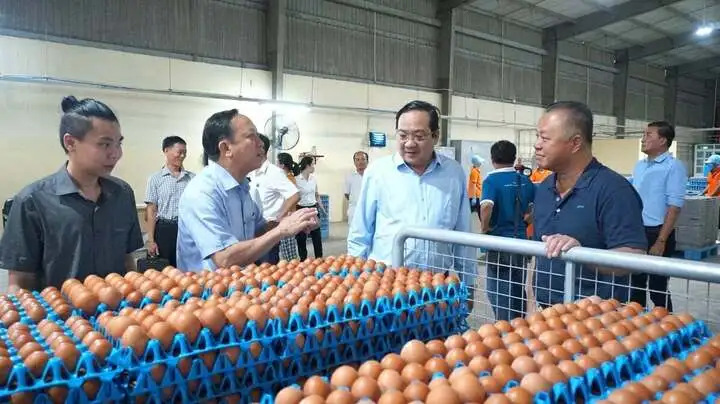 Tây Ninh bứt phá công nghiệp hóa chăn nuôi: Hình mẫu nông nghiệp công nghệ cao