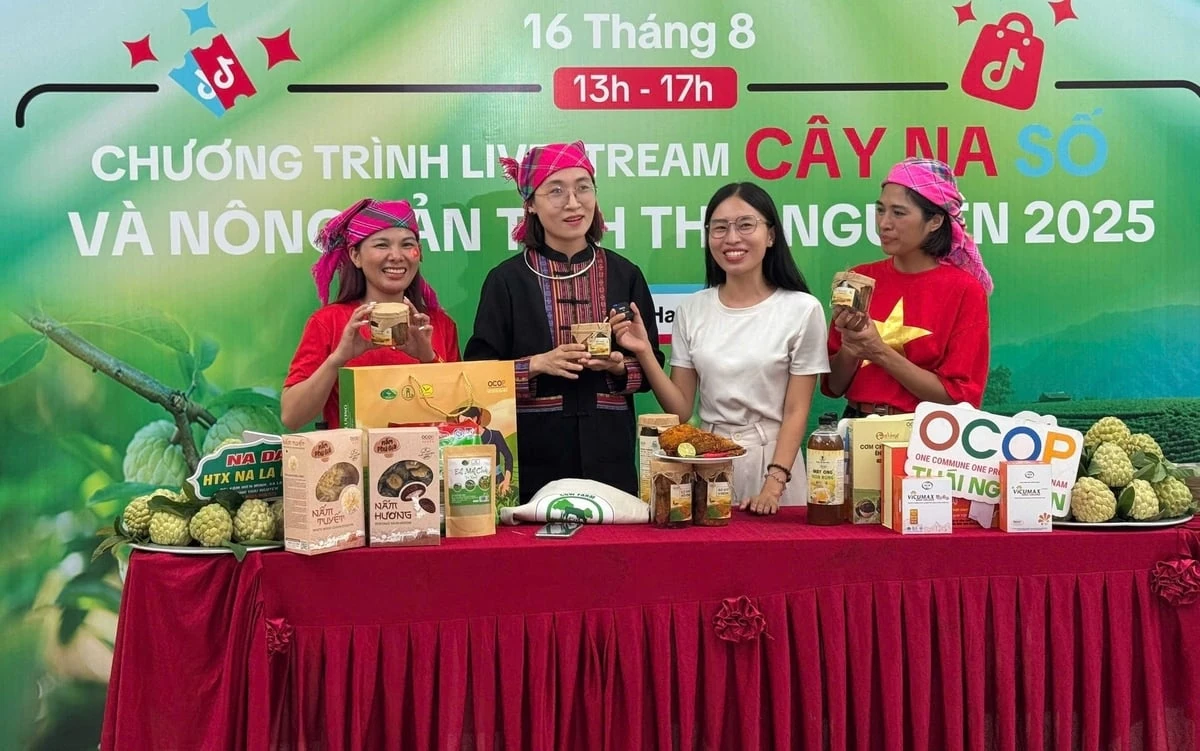 Thái Nguyên mang “cây na số” lên Tiktok