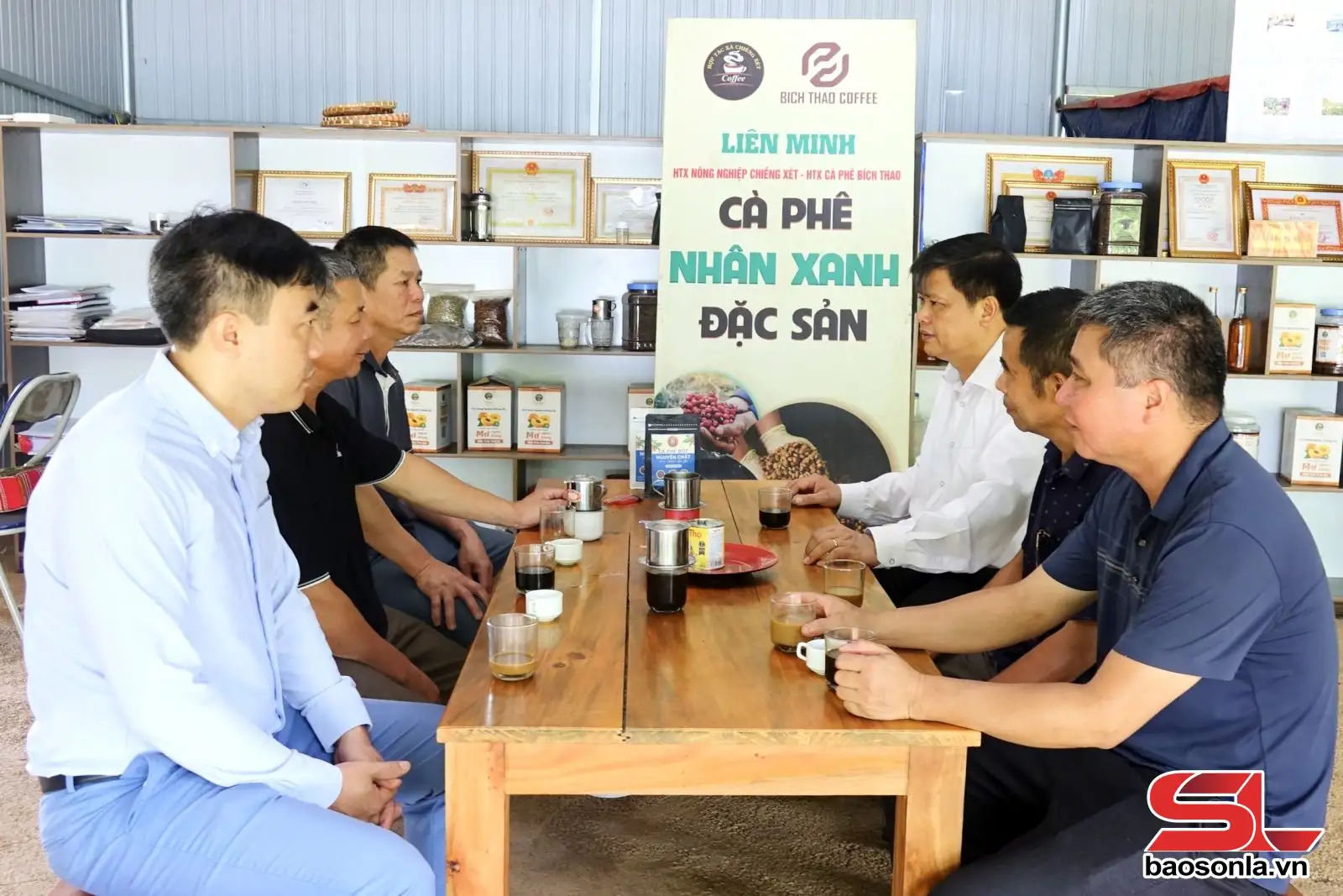 Thành công từ liên kết sản xuất cà phê theo chuỗi giá trị