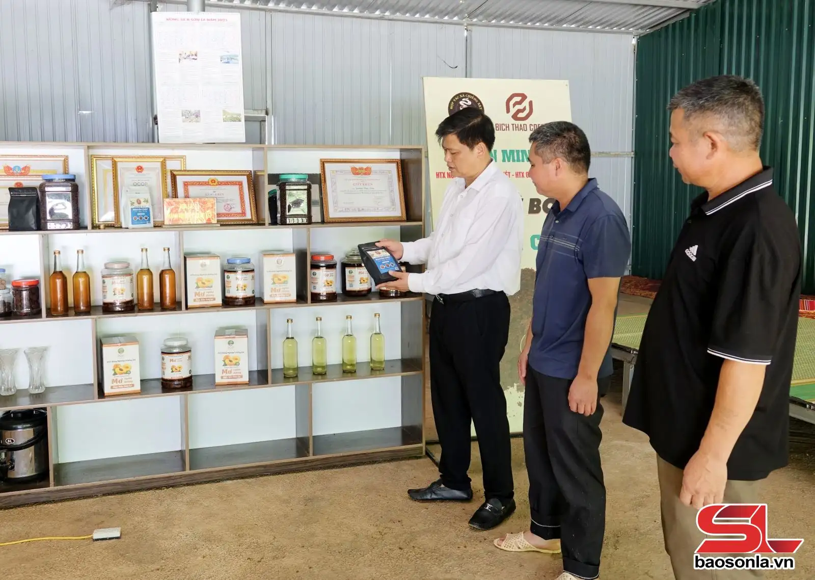 Thành công từ liên kết sản xuất cà phê theo chuỗi giá trị