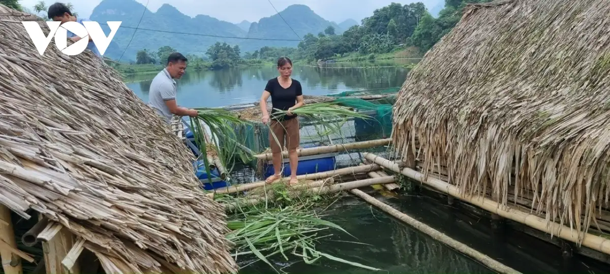 Thanh Hóa: Xây dựng nông thôn mới hiệu quả phù hợp với mô hình hành chính mới