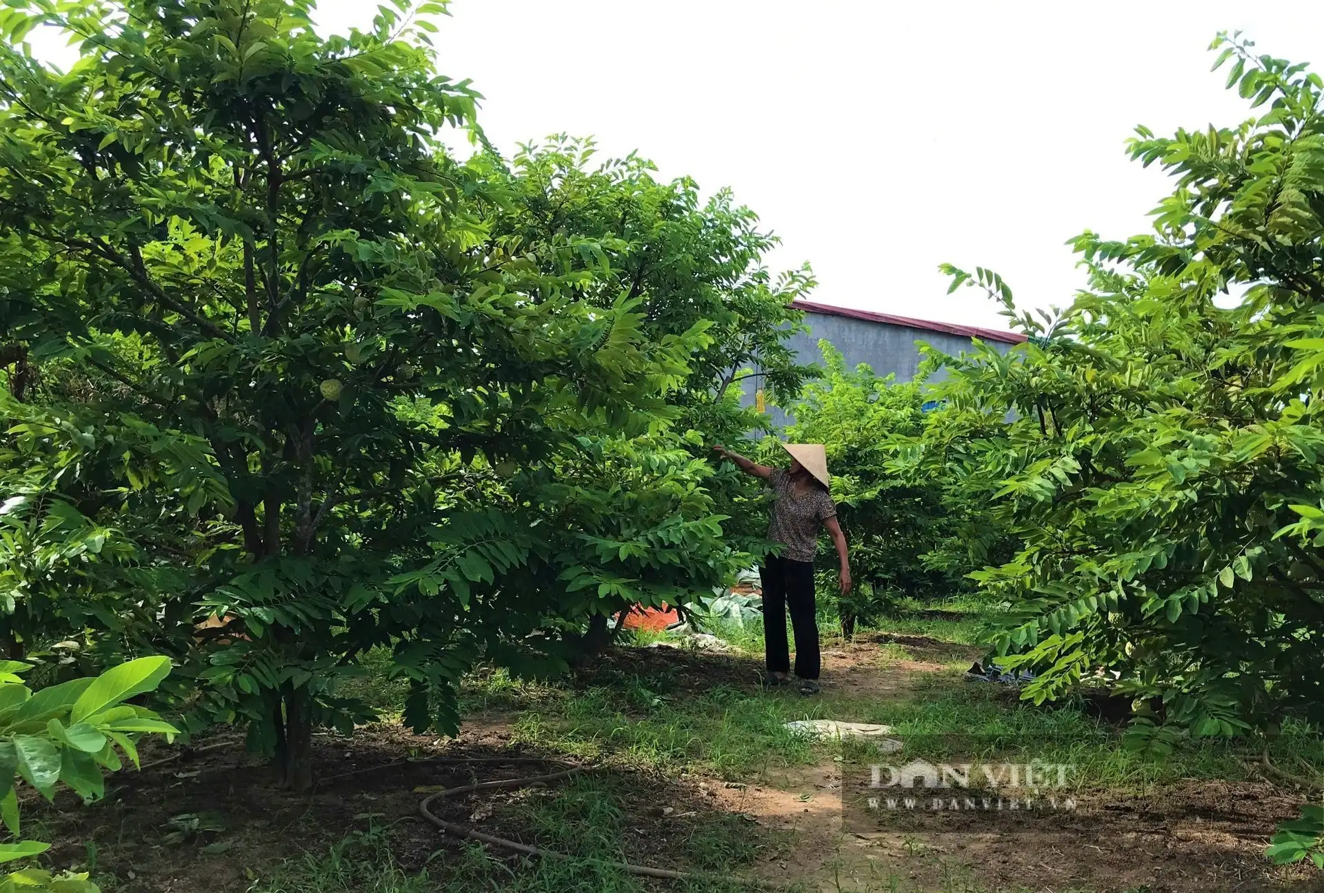 Vì một Việt Nam sáng – xanh – sạch – đẹp: Hàng trăm người cùng xuống đường thu gom, phân loại rác