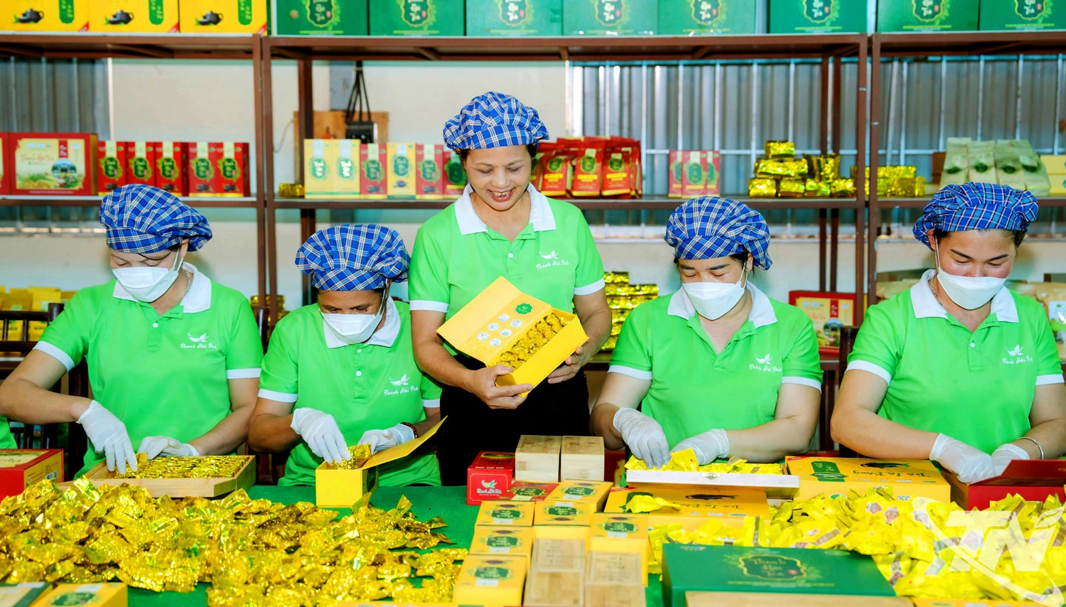 Thêm thế và lực cho kinh tế tập thể