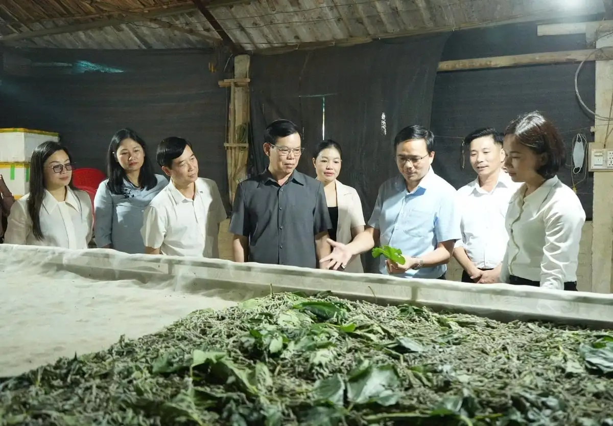 Trấn Yên hướng đến xây dựng xã nông thôn mới kiểu mẫu hiện đại, văn minh