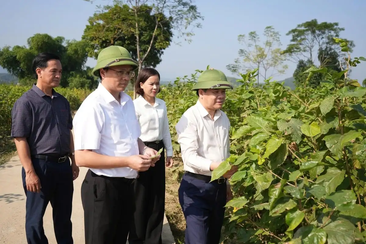 Trấn Yên hướng đến xây dựng xã nông thôn mới kiểu mẫu hiện đại, văn minh