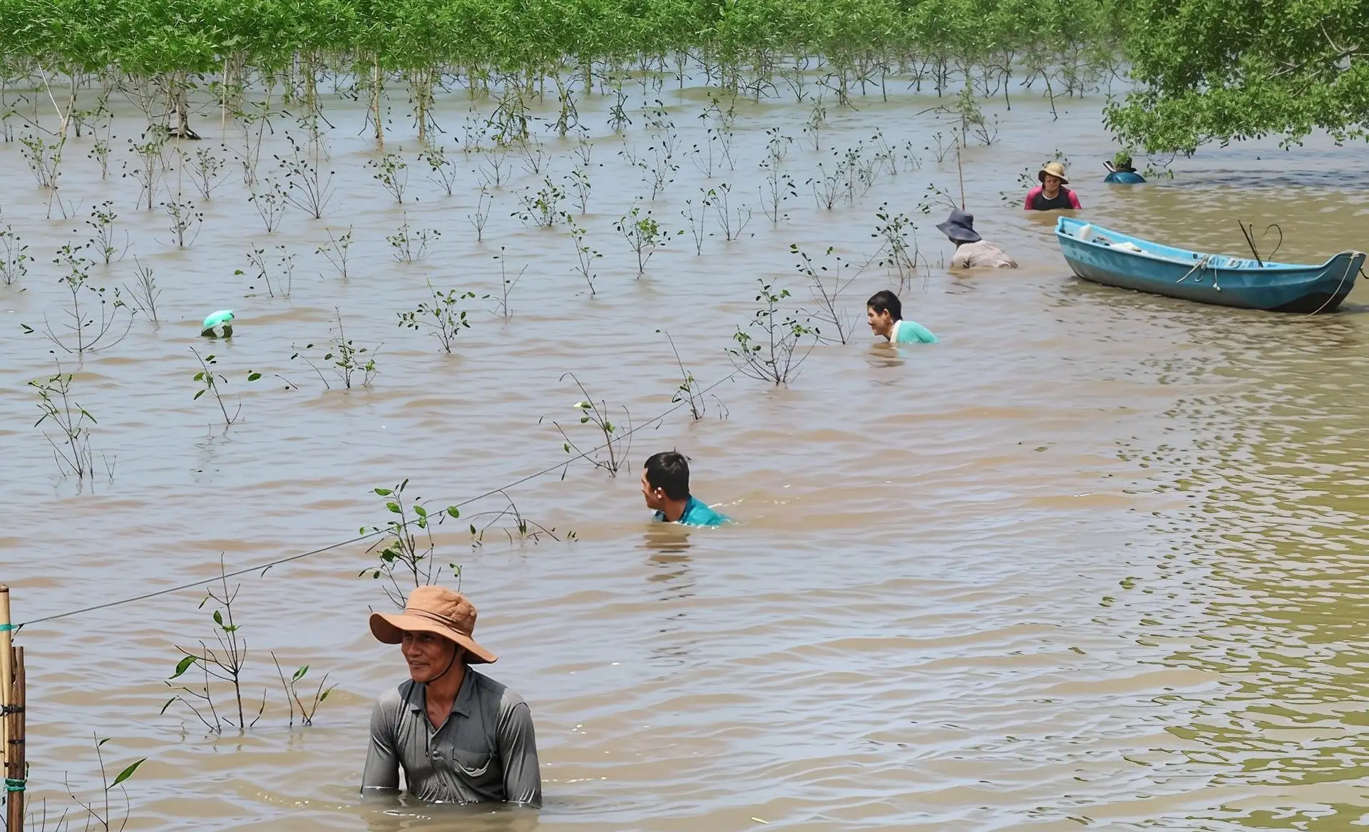 Trồng 13.000 cây phi lao làm giàu rừng phòng hộ