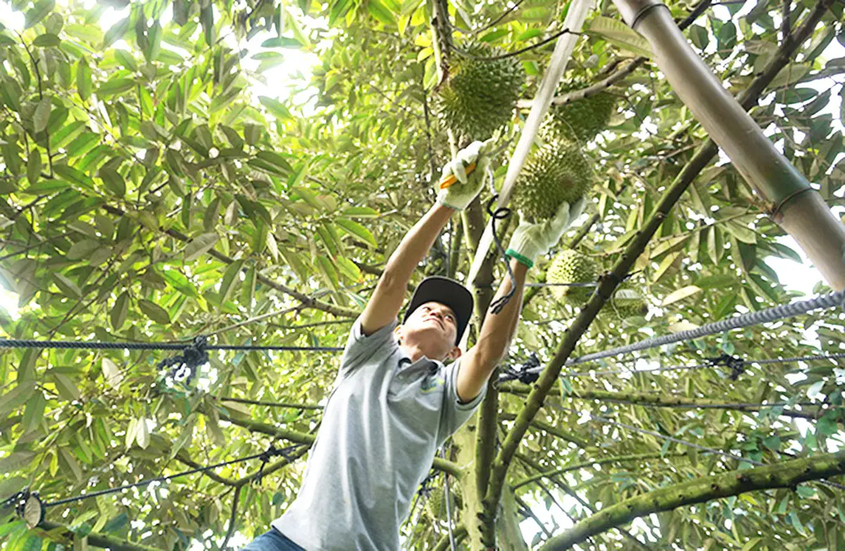 Từ cồn đất trù phú đến điểm sáng nông thôn mới ở Đồng Tháp