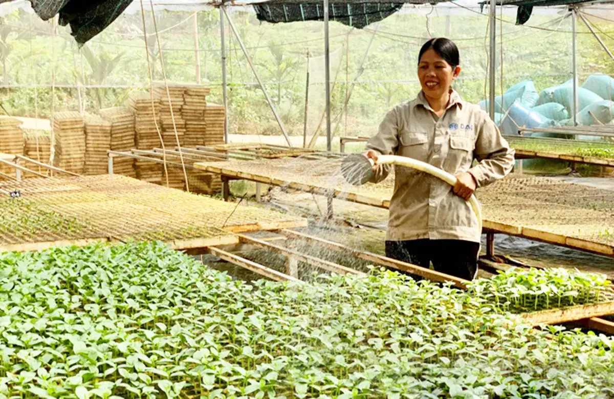 ức tranh nông thôn mới ở Lạng Sơn nhìn từ những cánh đồng bội thu nhờ chuỗi liên kết