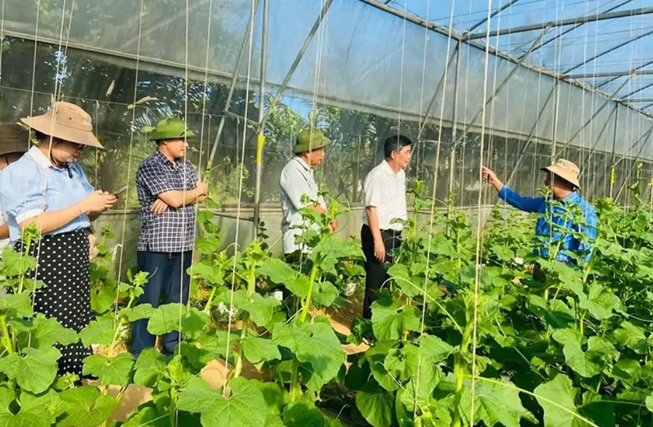 Ứng dụng công nghệ số nâng cao minh bạch chuỗi cung ứng nông sản