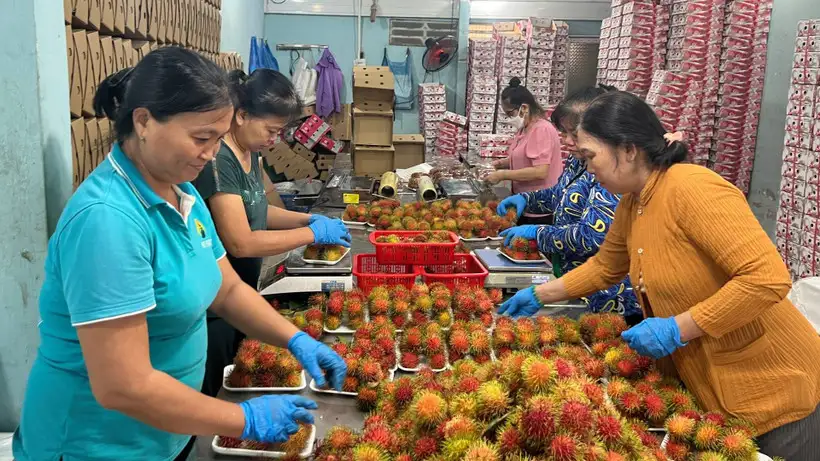 Vĩnh Long: Phát triển sản phẩm OCOP từ đặc sản địa phương