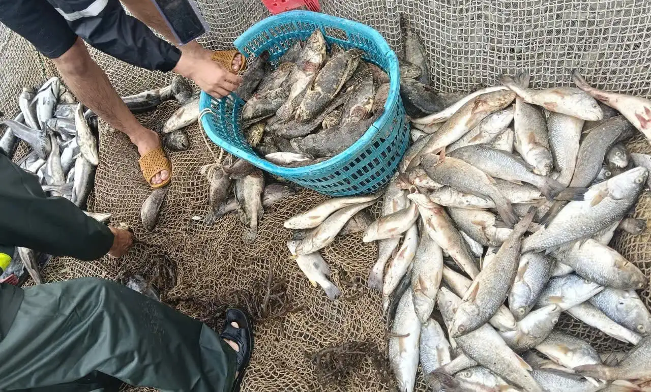 Vùng nuôi biển Quảng Trị thiệt hại nặng do bão