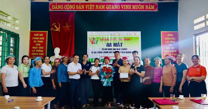 Xã Phú Nhuận xây dựng nông thôn mới từ mô hình trồng chè