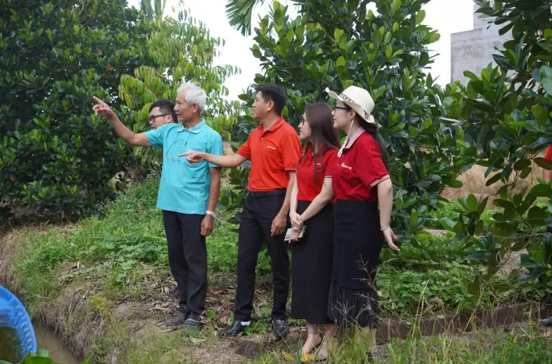 Agribank chi nhánh Vĩnh Long hỗ trợ nông dân chuyển đổi, phát triển nông nghiệp bền vững