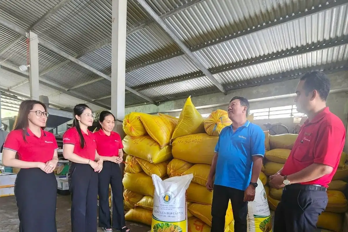 Agribank Hòa Bình Bạc Liêu: Chung sức xây dựng vùng lúa an toàn, hữu cơ
