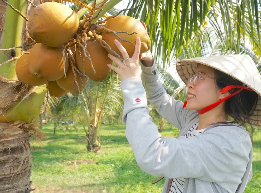Ba loại trái cây của Việt Nam đang đắt hàng ở Mỹ, Trung Quốc, có loại lúc cao điểm bán được 500 triệu USD/tháng
