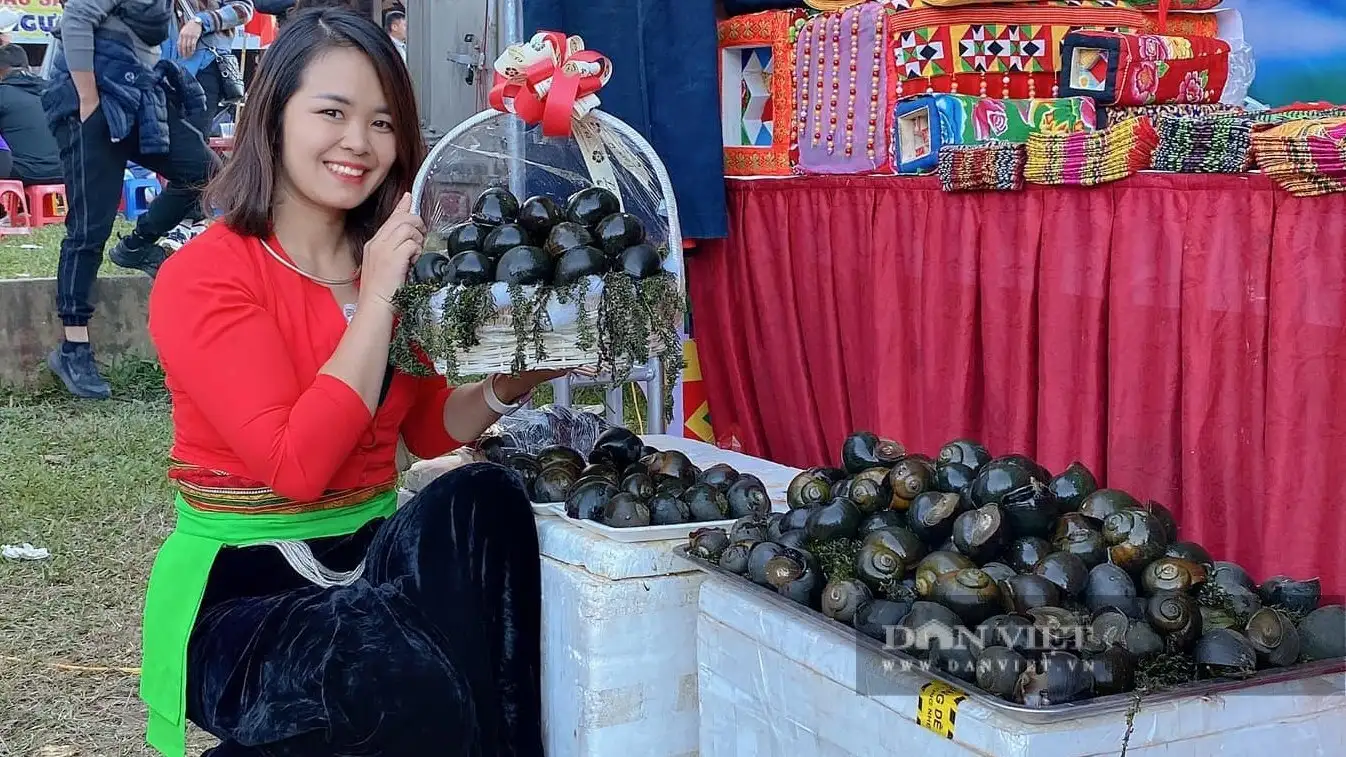 Bắt con đặc sản hiền như cục đất này lên làm chả, đạt sao OCOP, nông dân Phú Thọ bán hút hàng