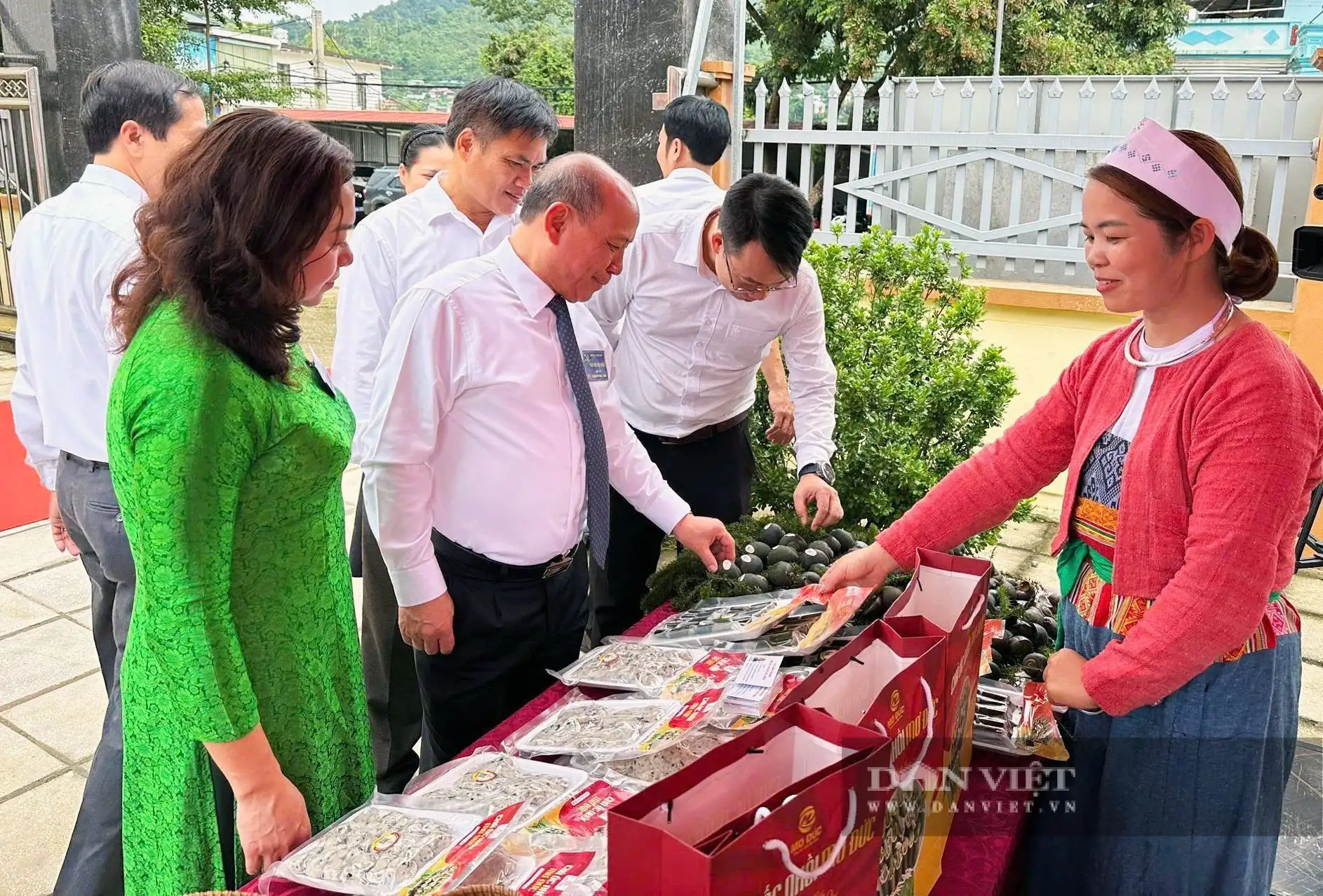 Bắt con đặc sản hiền như cục đất này lên làm chả, đạt sao OCOP, nông dân Phú Thọ bán hút hàng