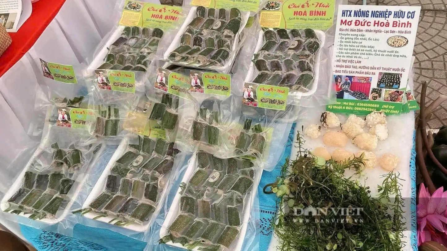Bắt con đặc sản hiền như cục đất này lên làm chả, đạt sao OCOP, nông dân Phú Thọ bán hút hàng