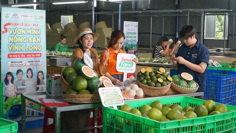 Bất ngờ luôn, đây là cách bán hàng ở Vĩnh Long khiến nông sản, đặc sản “cháy hàng”
