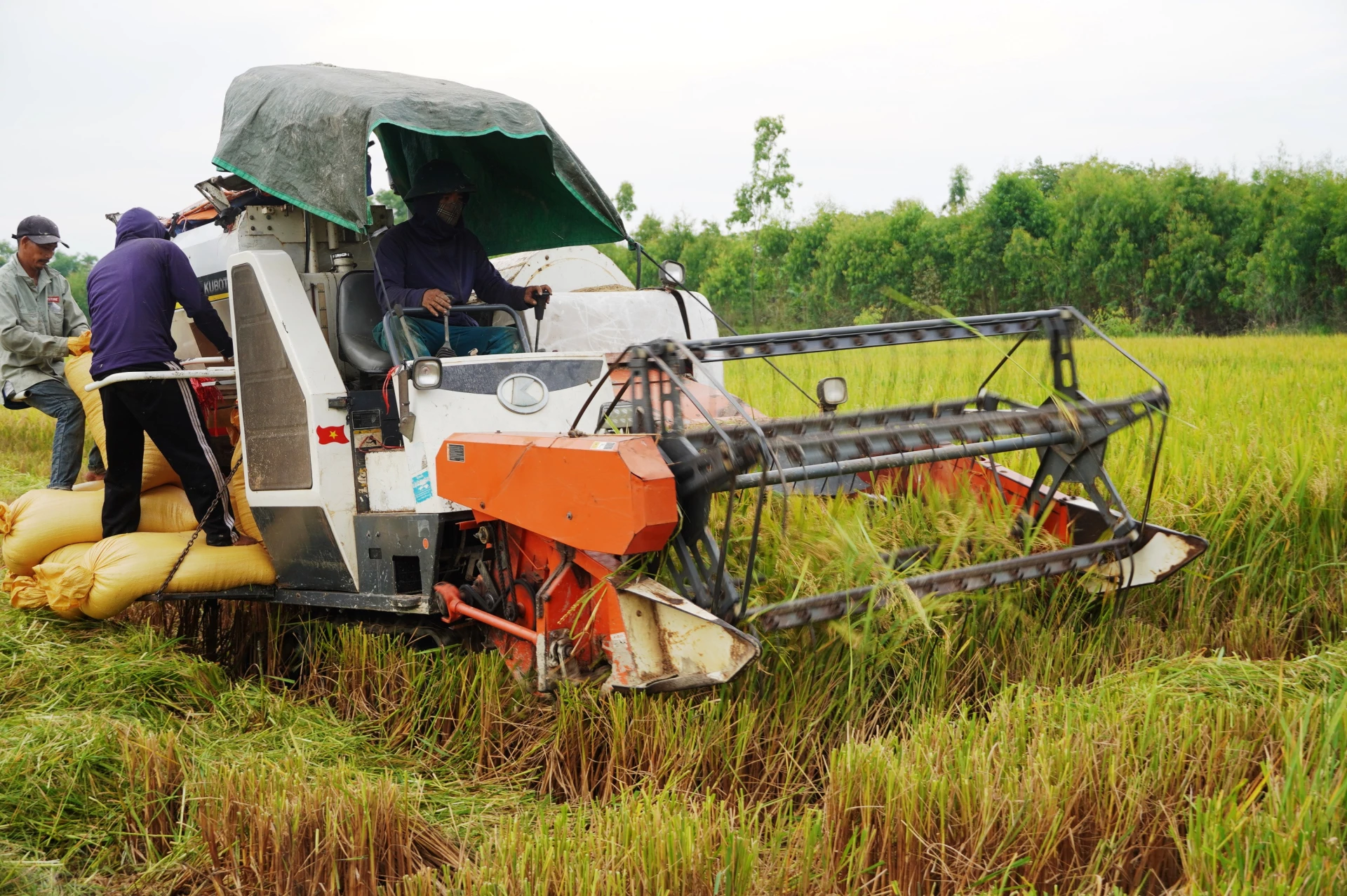 “Bệ đỡ” để nông nghiệp phát triển