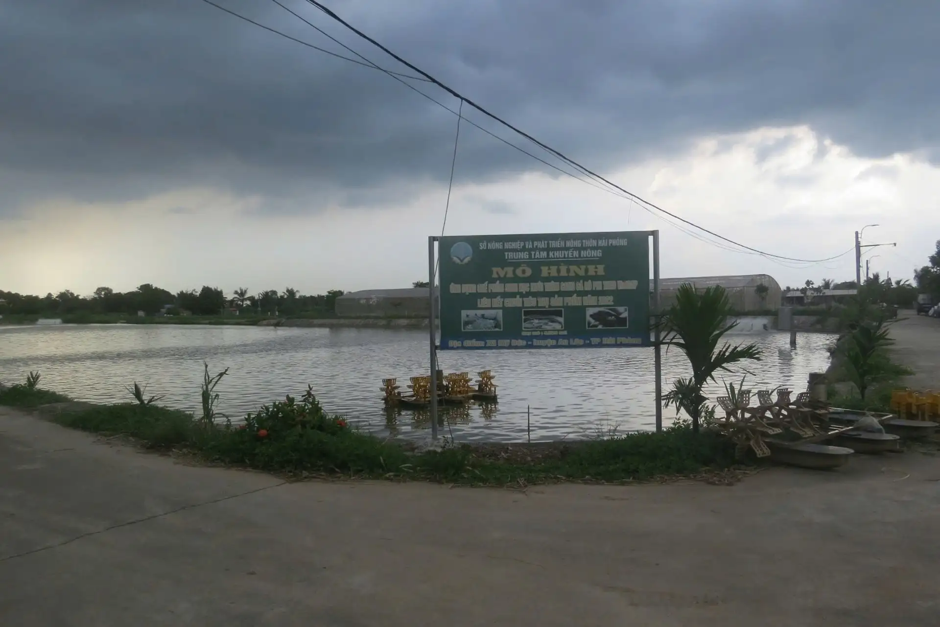 Biến ruộng sâu trũng thành trang trại nuôi cá, trai Hải Phòng tự trả lương 25 triệu/tháng