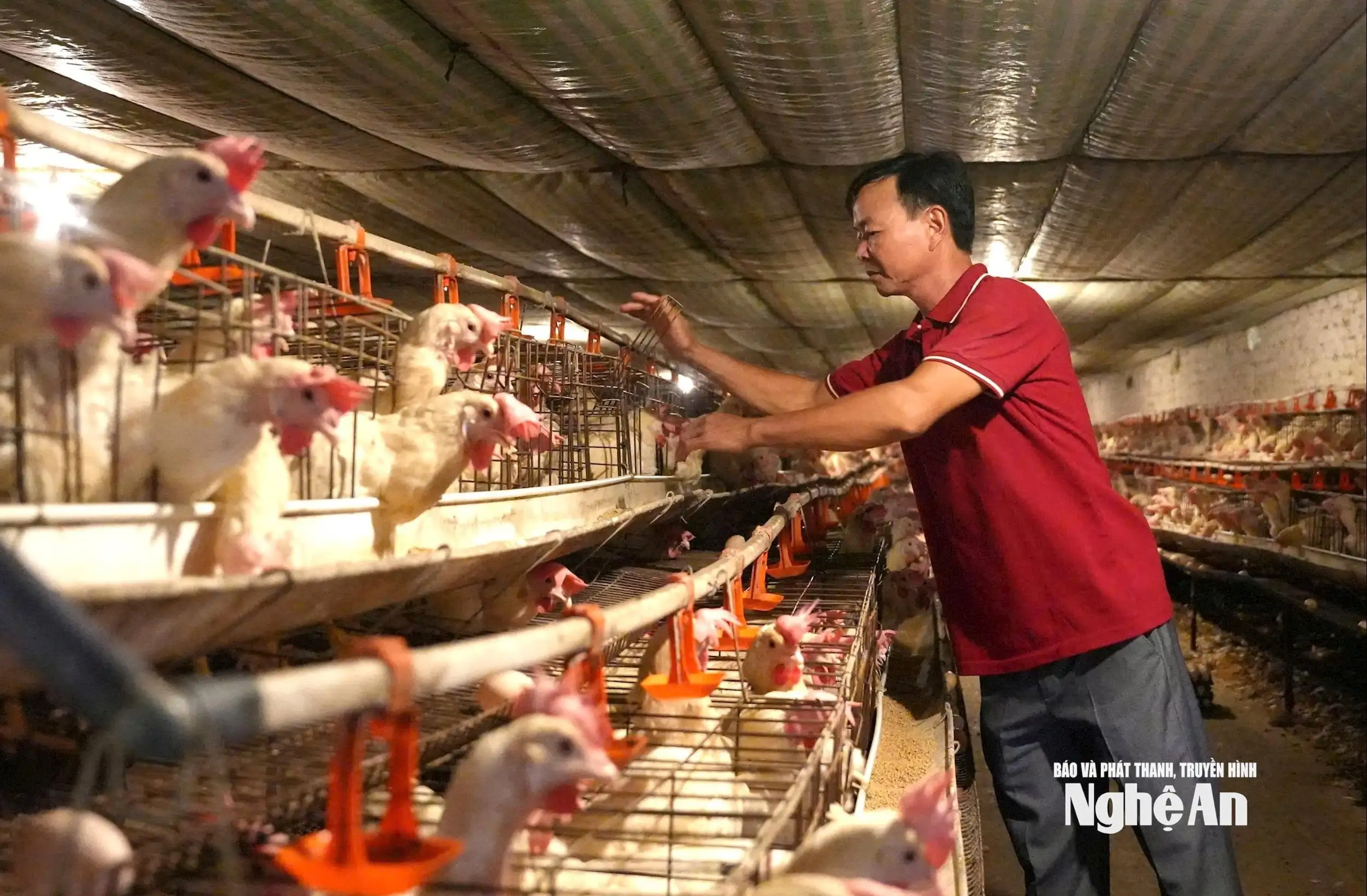 Bước đi khác biệt của nông dân Việt Nam xuất sắc Trần Xuân Sơn