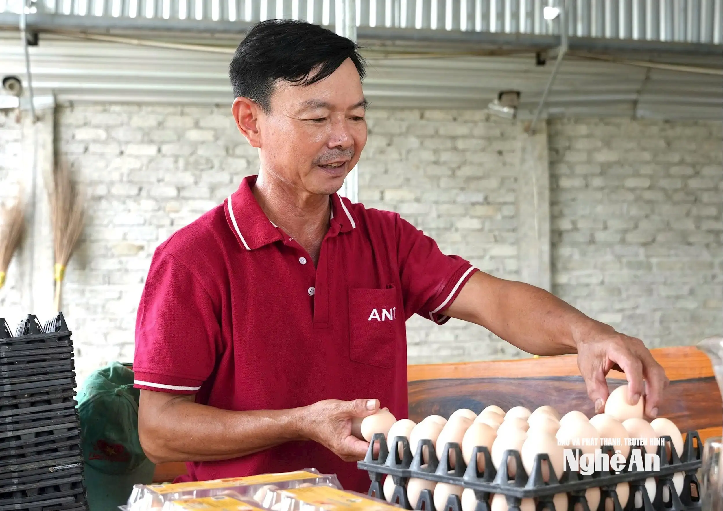 Bước đi khác biệt của nông dân Việt Nam xuất sắc Trần Xuân Sơn