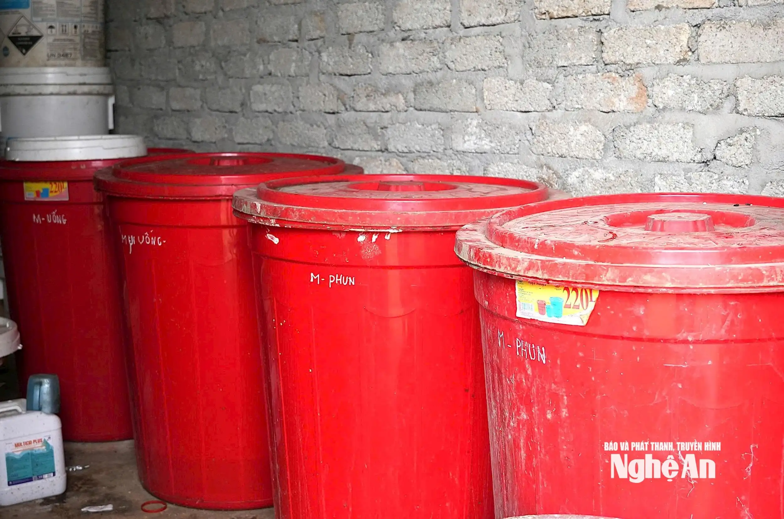 Bước đi khác biệt của nông dân Việt Nam xuất sắc Trần Xuân Sơn