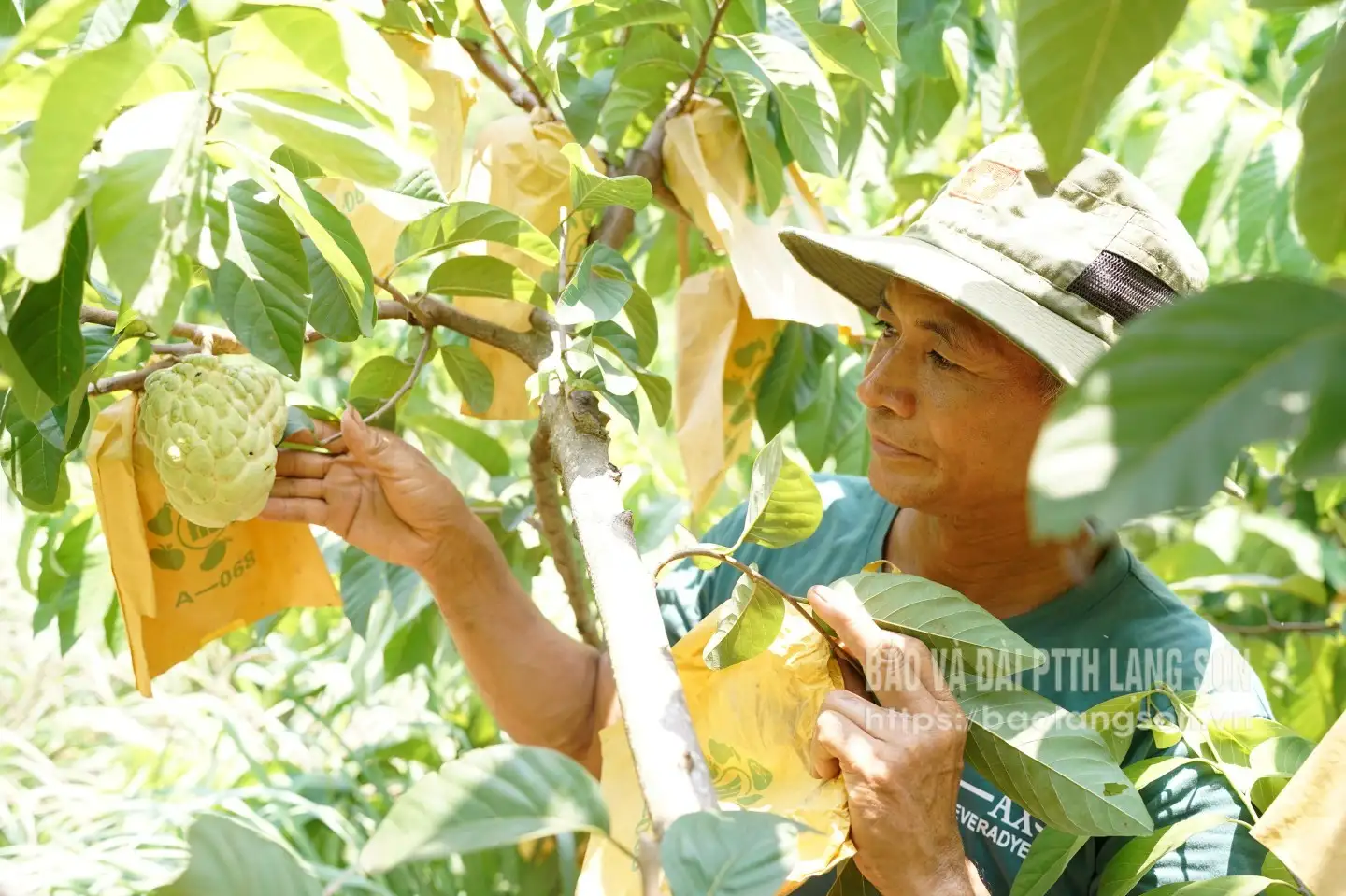 Bước tiến nông thôn mới