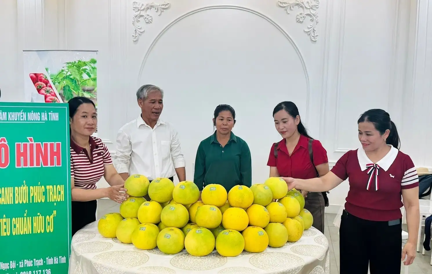 Bưởi Phúc Trạch được cấp chứng nhận hữu cơ, rộng đường xuất khẩu