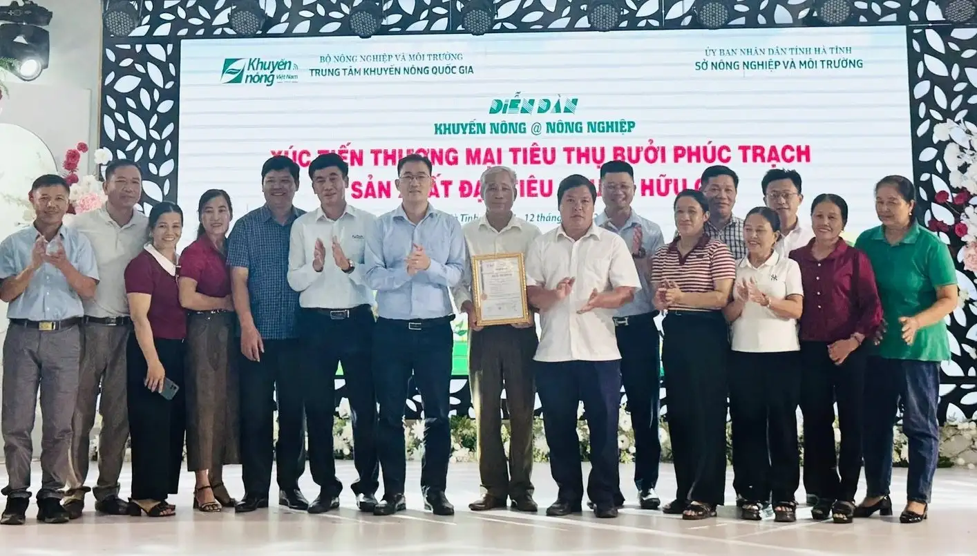 Bưởi Phúc Trạch được cấp chứng nhận hữu cơ, rộng đường xuất khẩu