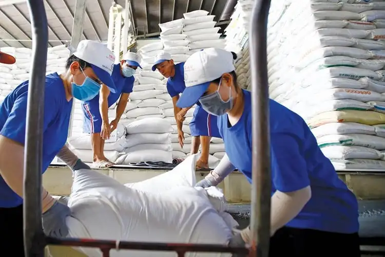 Cà phê, gạo.. được giá, xuất khẩu nông sản của Việt Nam tự tin đạt trên 65 tỷ USD năm 2025