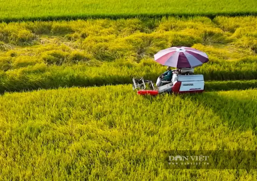Cách làm hay giúp Lai Châu giảm nghèo, từ chính sách đến những mô hình kinh tế hiệu quả