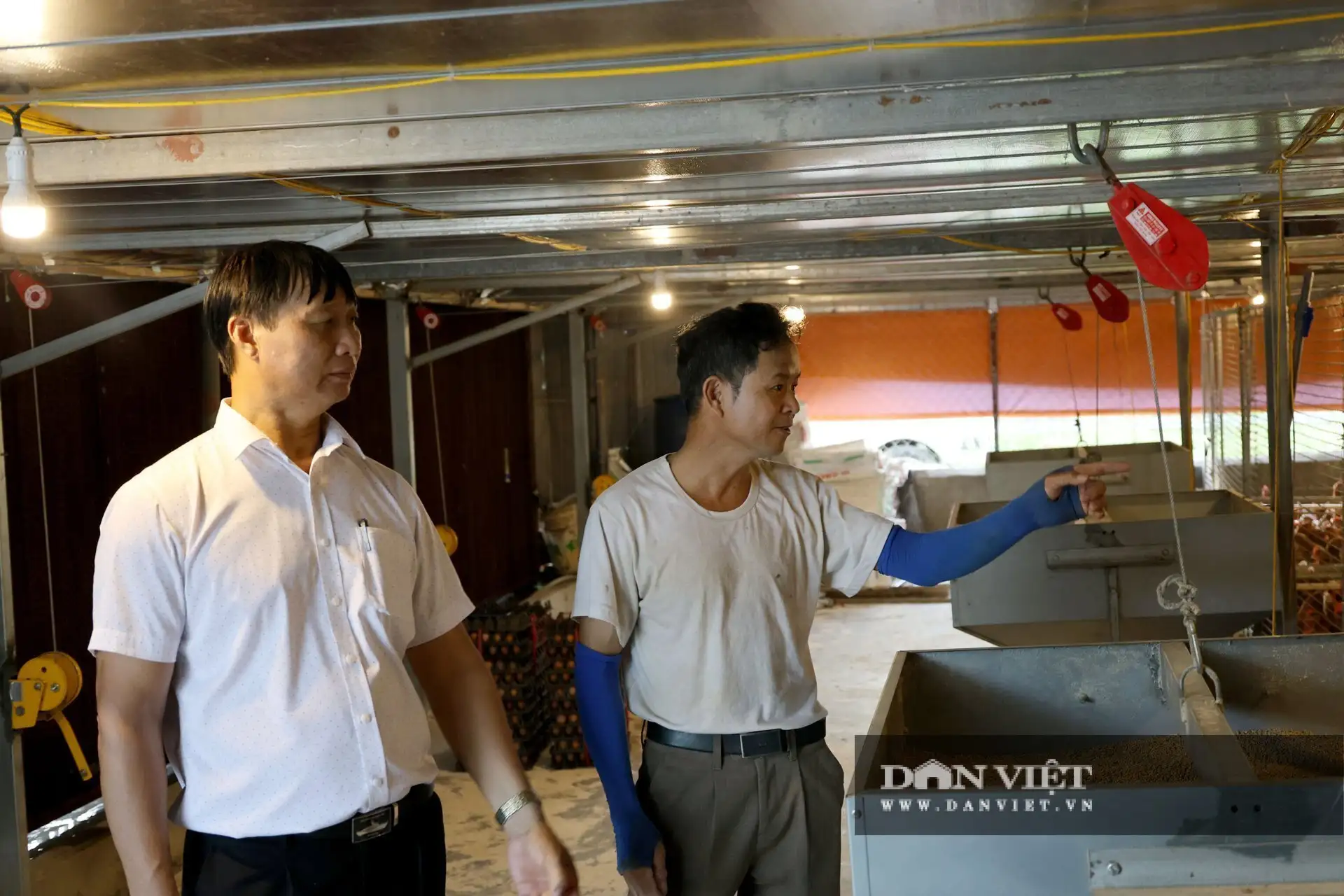 Cận cảnh trang trại nuôi gà đẻ trứng công nghệ cao ở Hà Tĩnh, đạt doanh thu 36 triệu/ngày