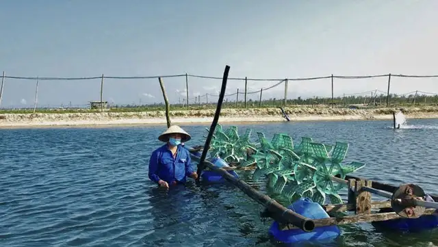 Cần Thơ giảm nghèo bền vững: Lan tỏa tinh thần tự lực, tự cường