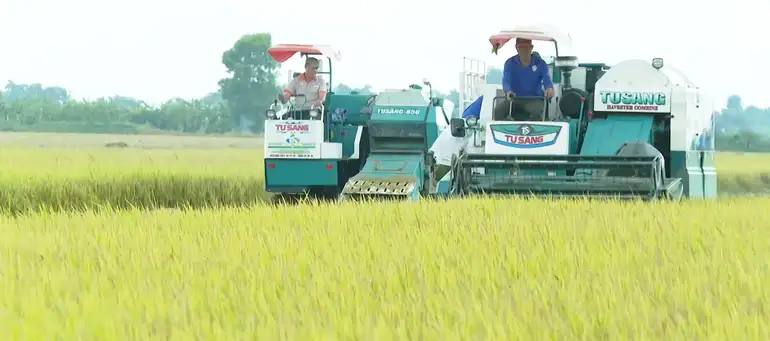Cần Thơ hỗ trợ nông dân chuyển đổi sản xuất nông nghiệp, tăng thu nhập