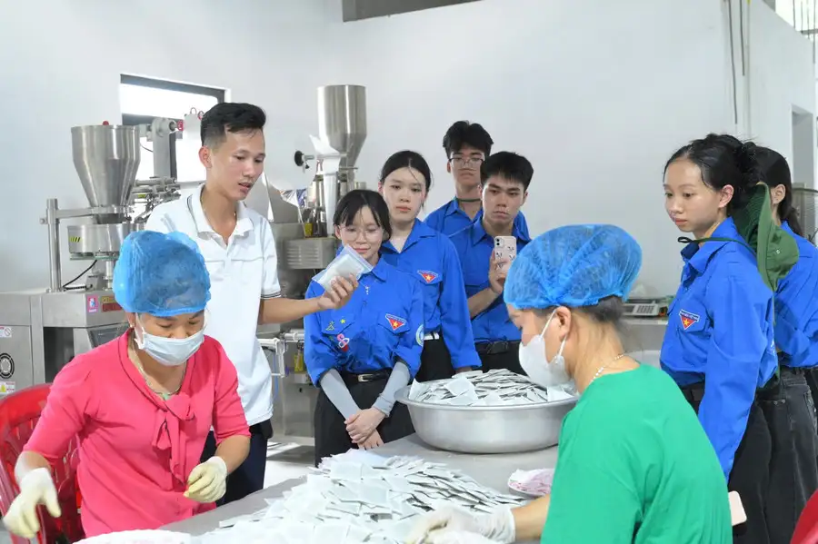 Cây dược liệu mở hướng giảm nghèo bền vững cho đồng bào DTTS