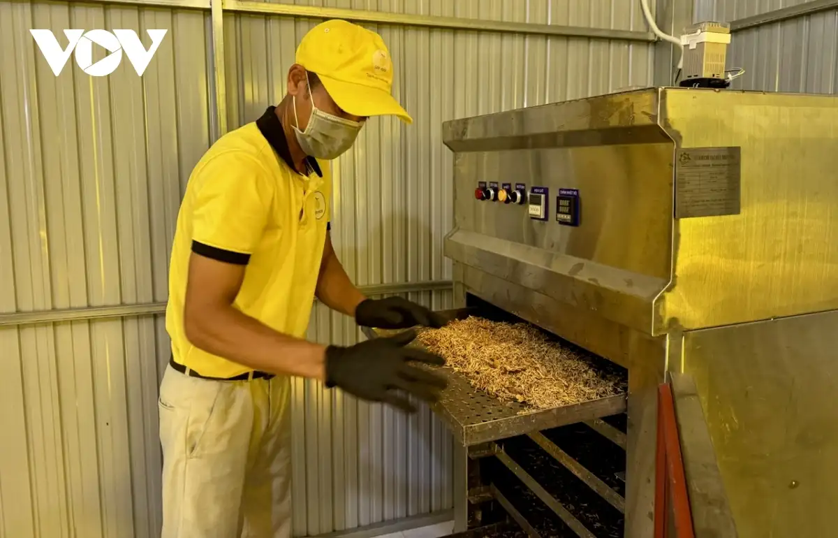 Chế biến sâu, nâng tầm giá trị sản phẩm OCOP